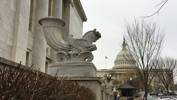 On December 4-5, the Guild joined our Coalition of Visual Artists for a trip to Capitol Hill to lobby on behalf of graphic artists in support of the CASE Act.