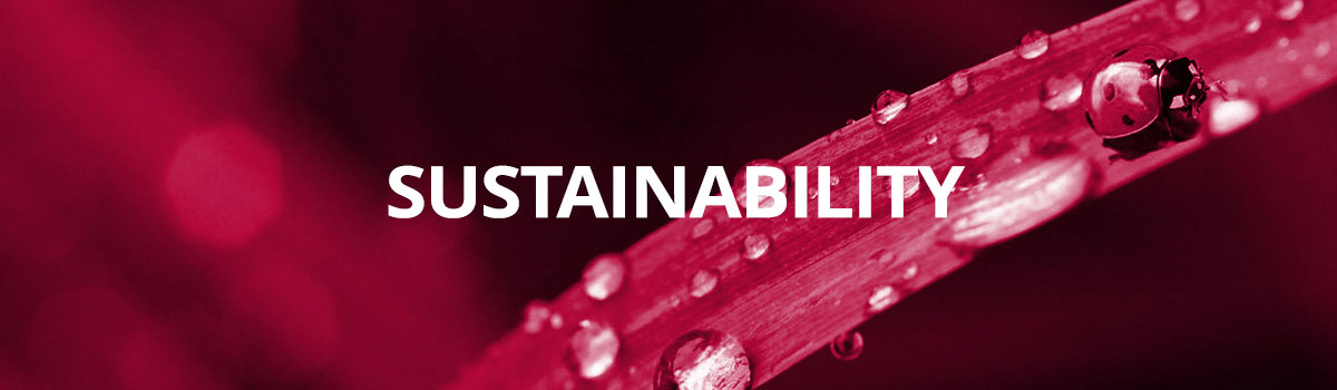 Sustainability Webinar banner