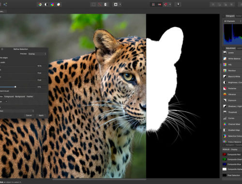 Affinity Photo 1.7 screenshot showing fine selection