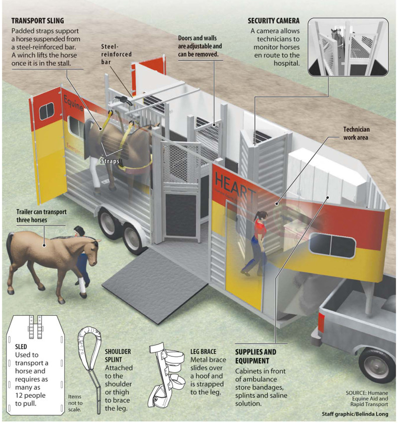 Infographic illustration of an equine ambulance by Belinda Ivey