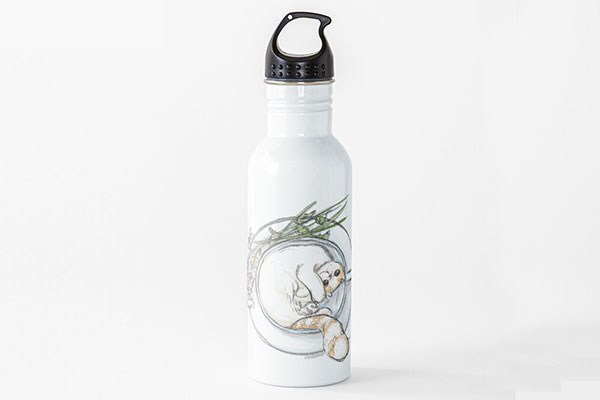 holiday image of water bottle by Liz DiFiore
