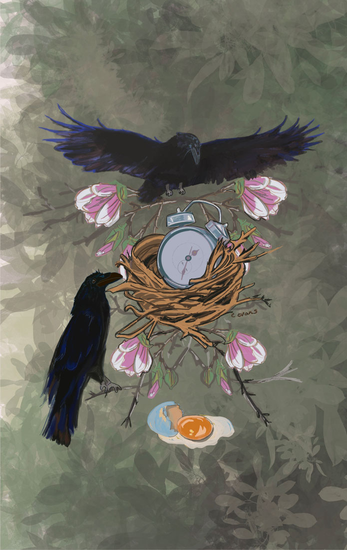 illustration of two blackbirds on a nest