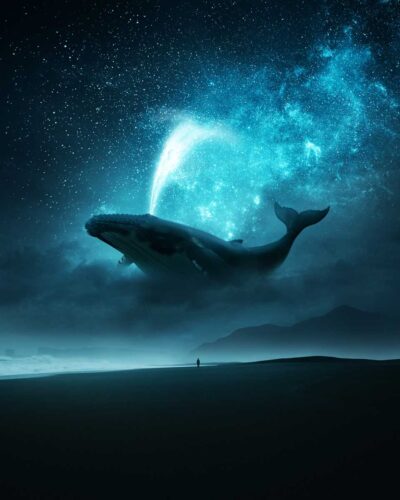 photorealistic image of a whale swimming through the sky by Ted Chin