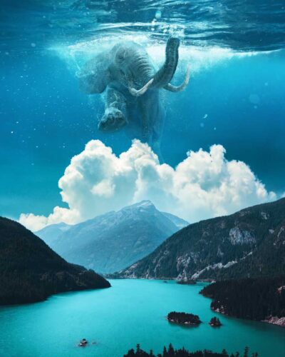 photorealistic image of an elephant swimming through the sky by Ted Chin